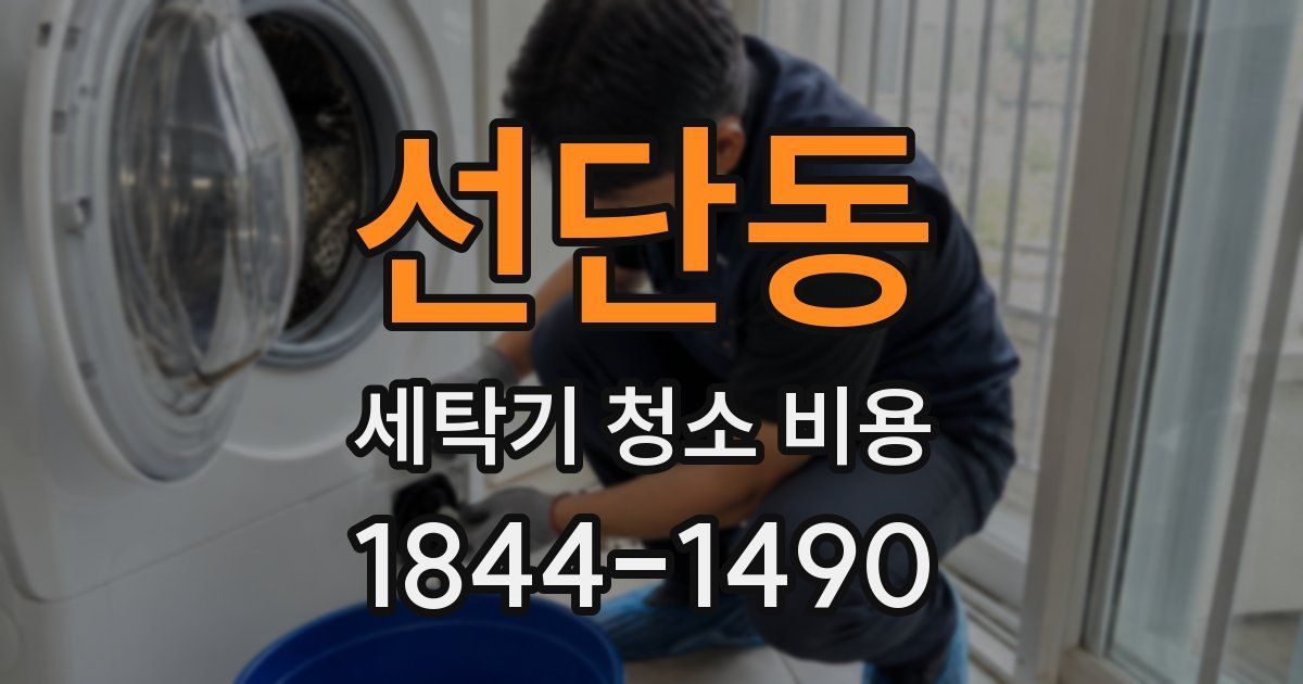 선단동 세탁기 청소 비용
