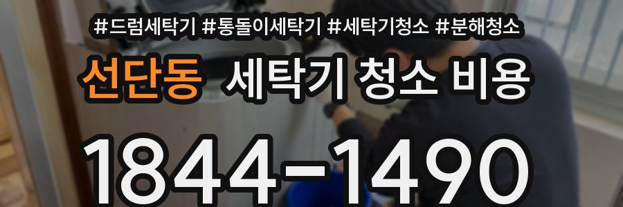 선단동 세탁기 청소 비용