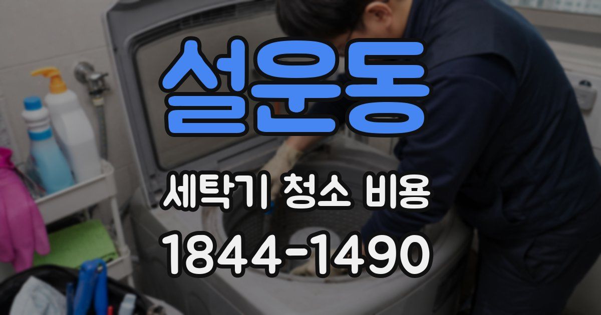 설운동 세탁기 청소 비용