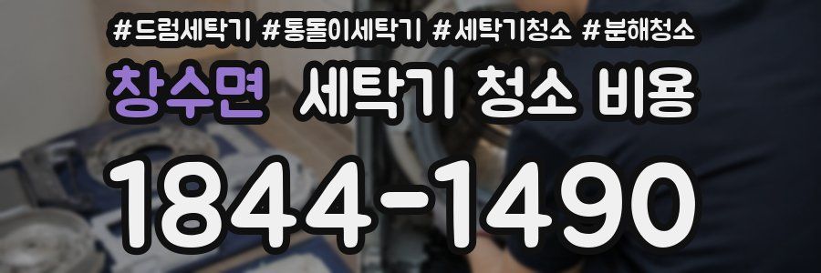 창수면 세탁기 청소 비용