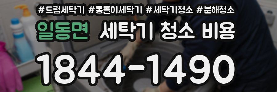 일동면 세탁기 청소 비용