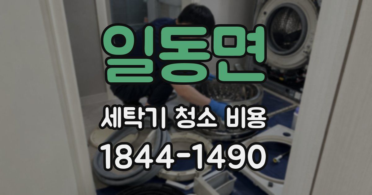 일동면 세탁기 청소 비용