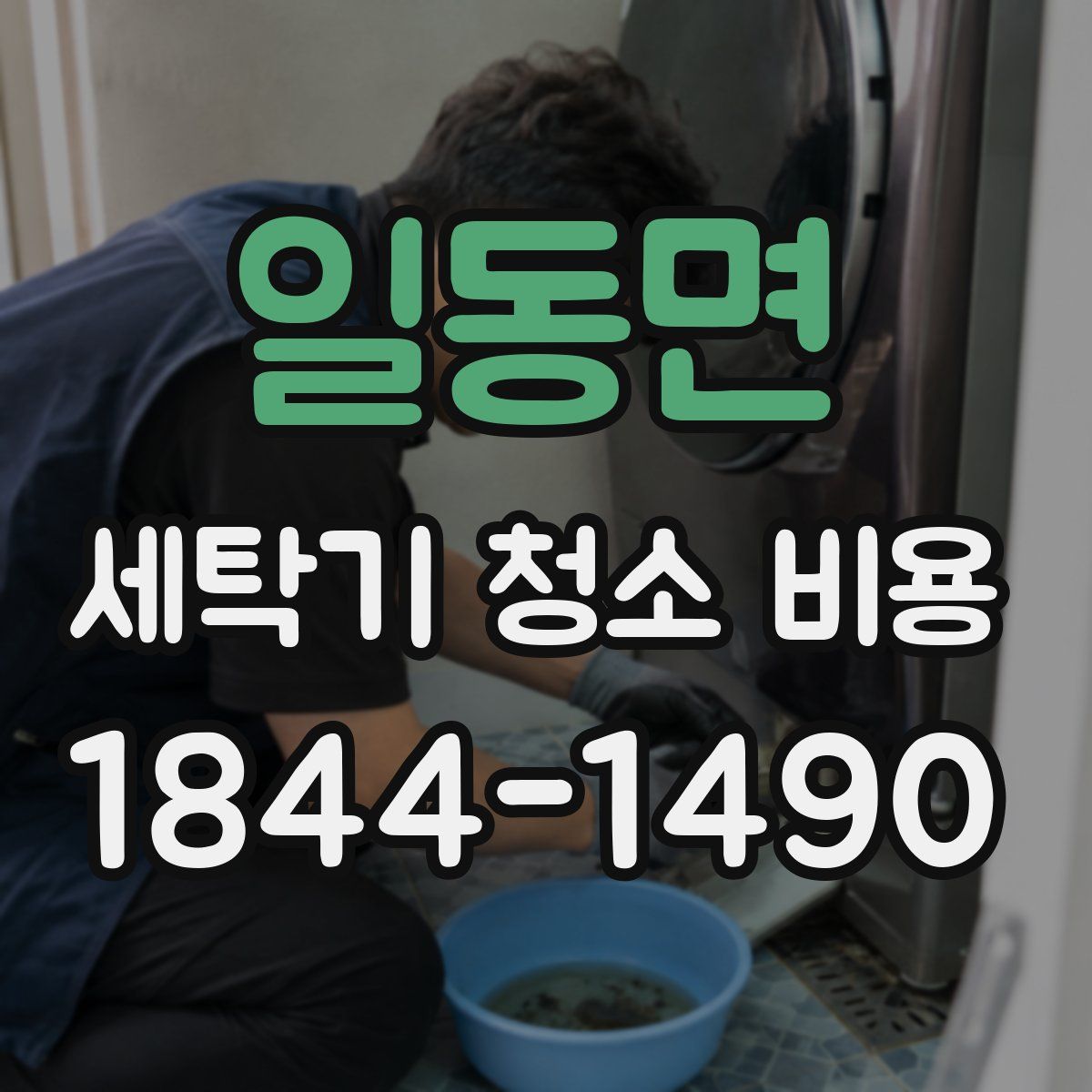 일동면 세탁기 청소 비용