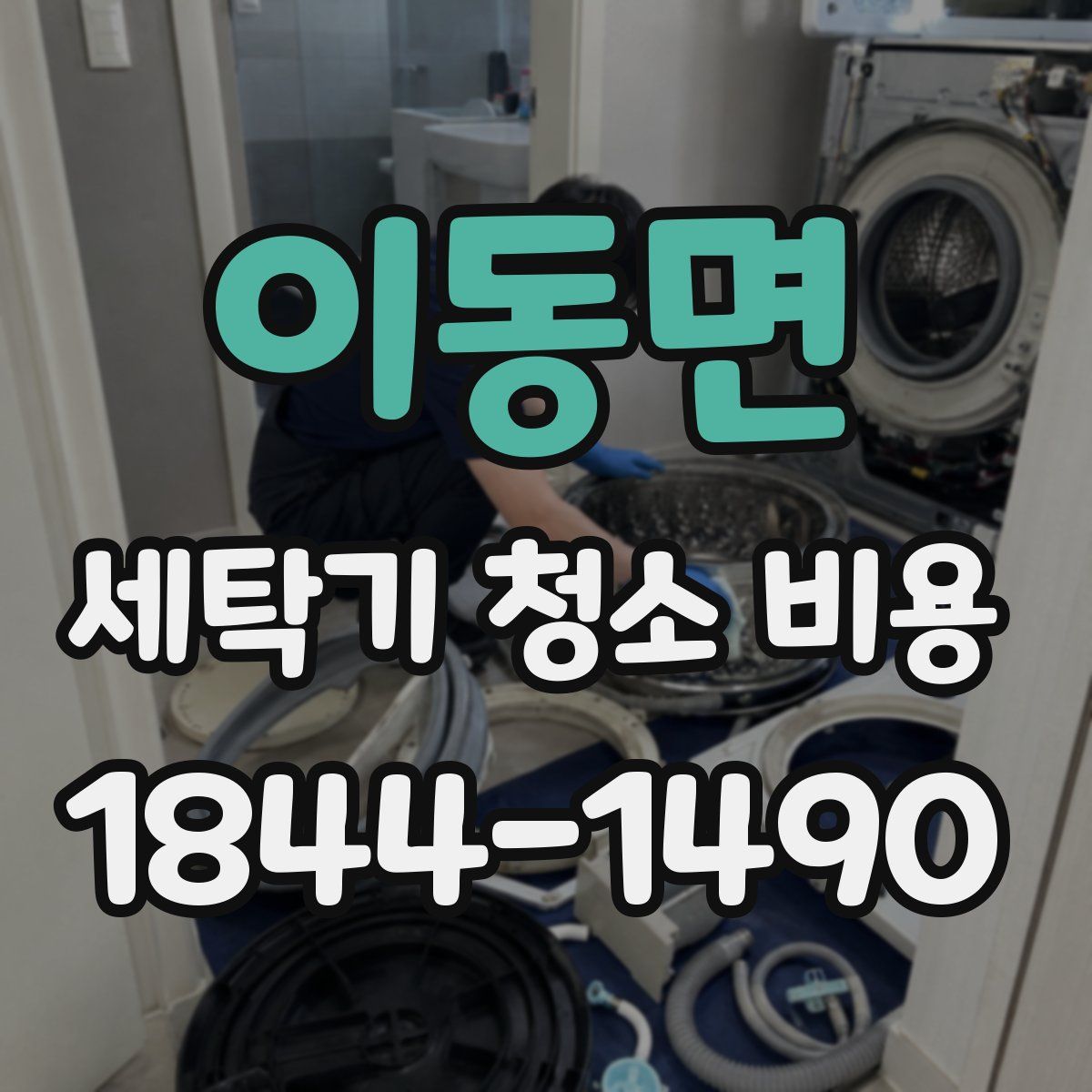 이동면 세탁기 청소 비용