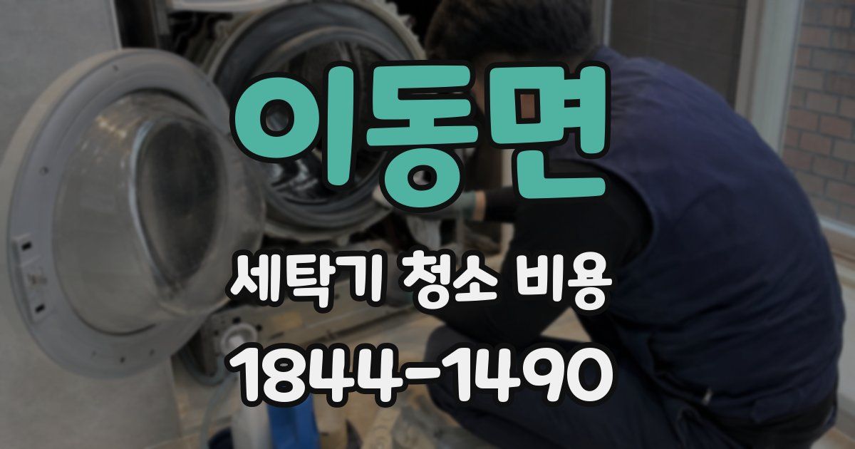 이동면 세탁기 청소 비용