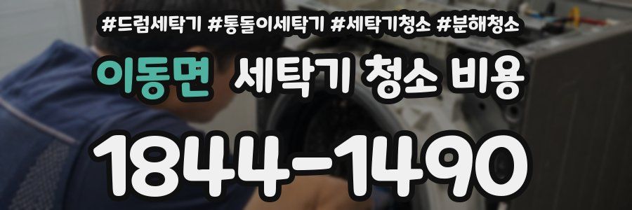 이동면 세탁기 청소 비용