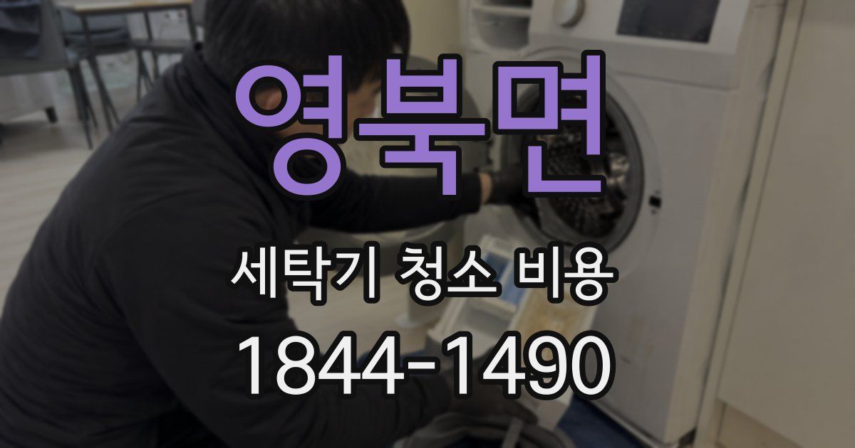 영북면 세탁기 청소 비용