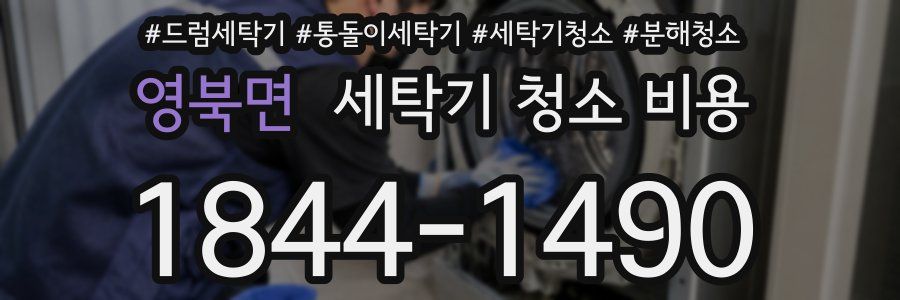 영북면 세탁기 청소 비용