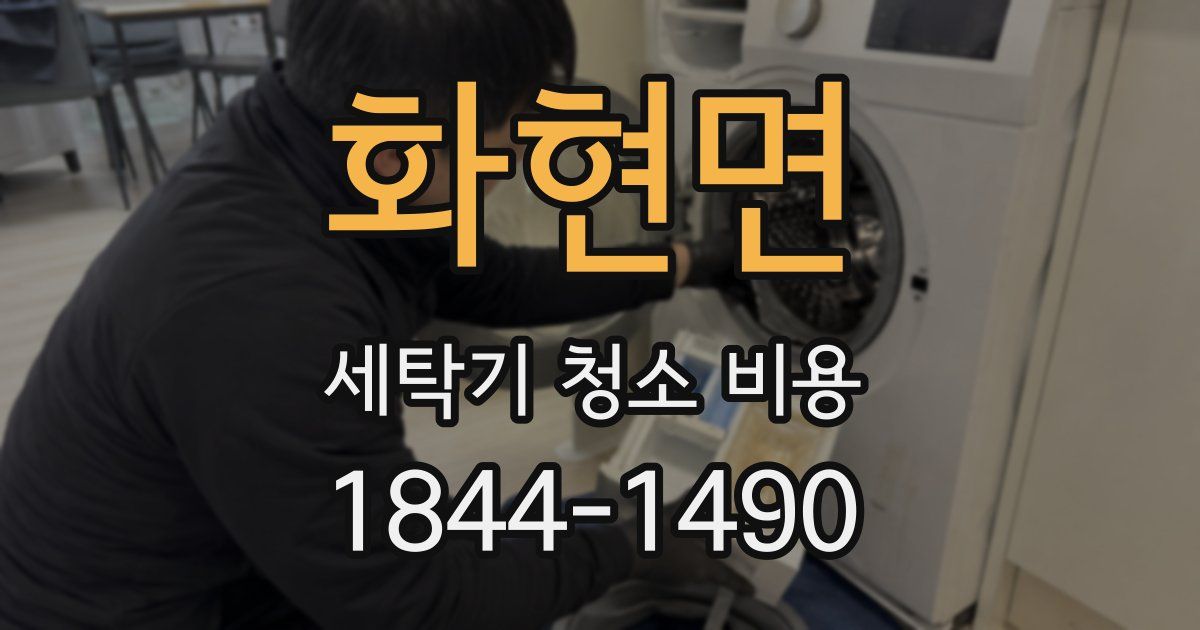 화현면 세탁기 청소 비용