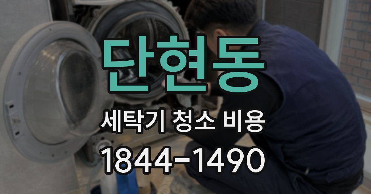 단현동 세탁기 청소 비용