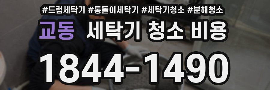 교동 세탁기 청소 비용