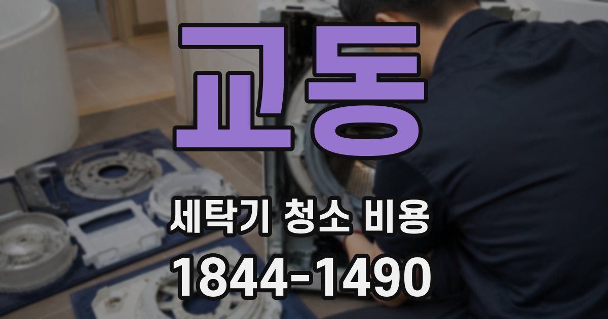 교동 세탁기 청소 비용
