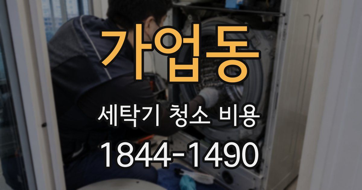 가업동 세탁기 청소 비용