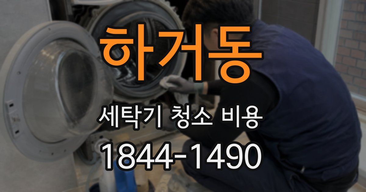 하거동 세탁기 청소 비용