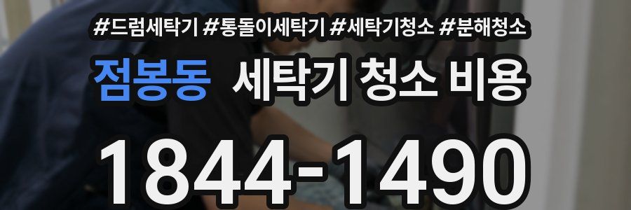 점봉동 세탁기 청소 비용