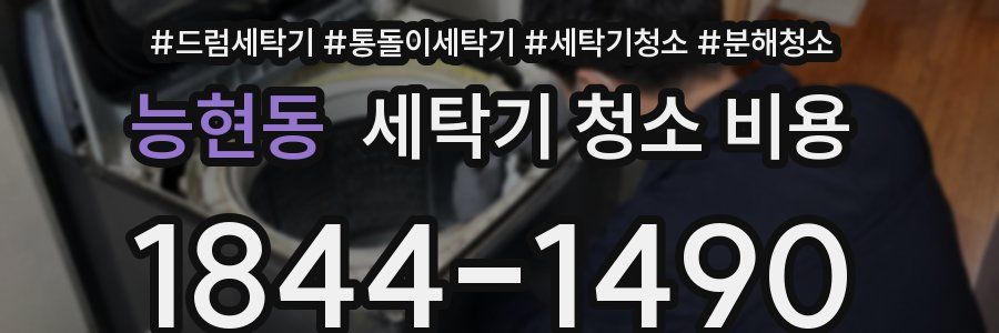 능현동 세탁기 청소 비용