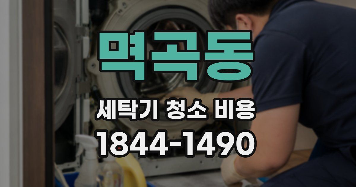 멱곡동 세탁기 청소 비용