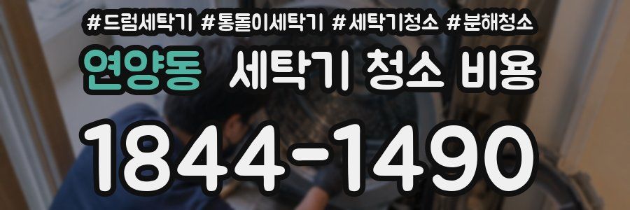 연양동 세탁기 청소 비용
