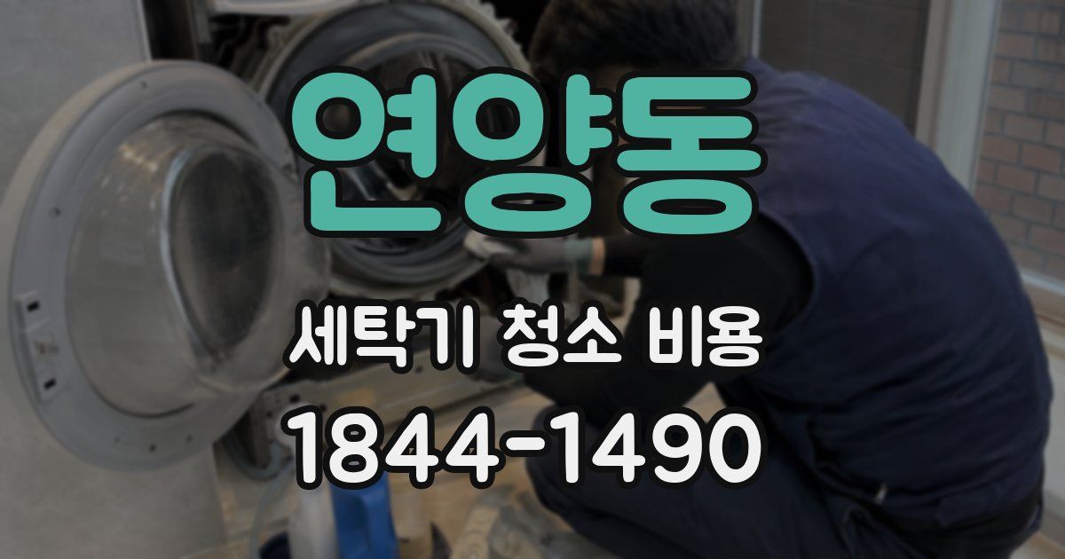 연양동 세탁기 청소 비용