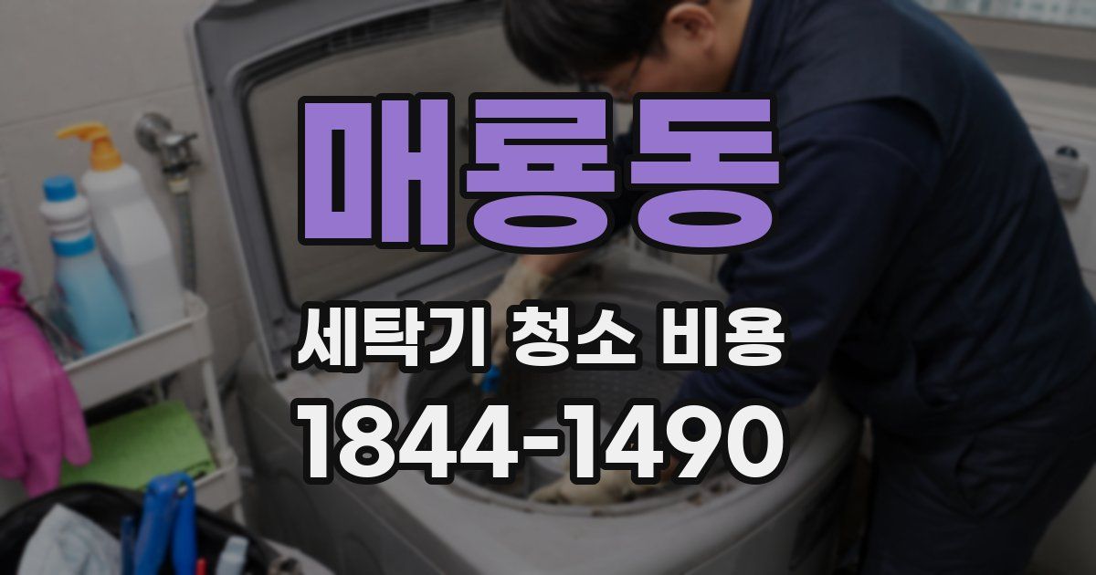 매룡동 세탁기 청소 비용