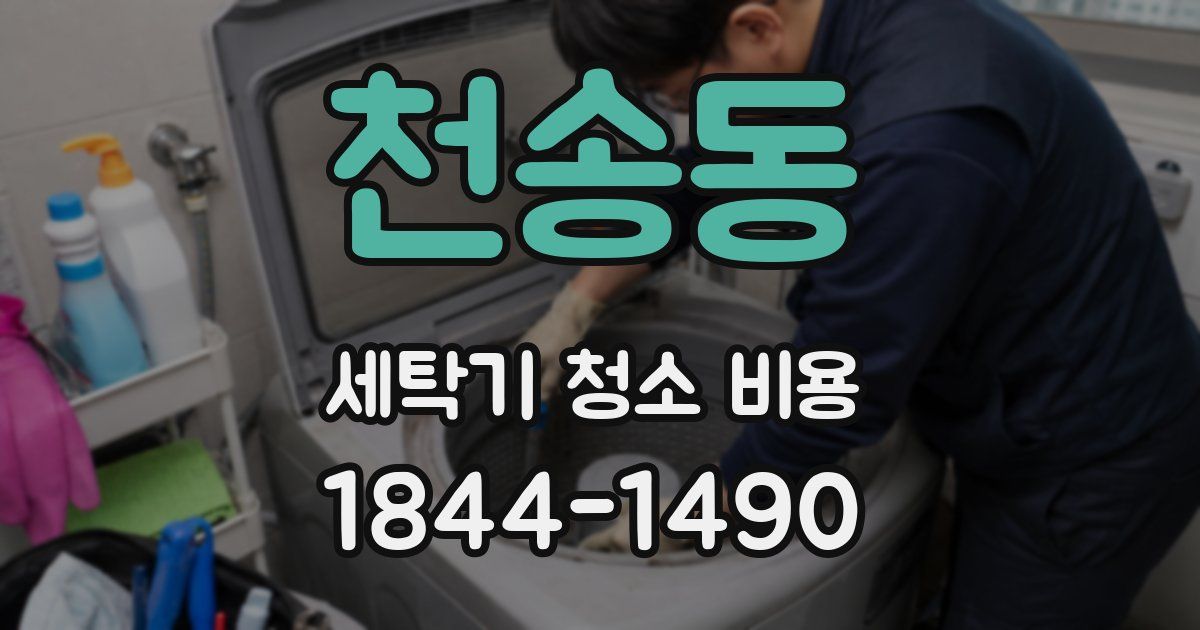 천송동 세탁기 청소 비용