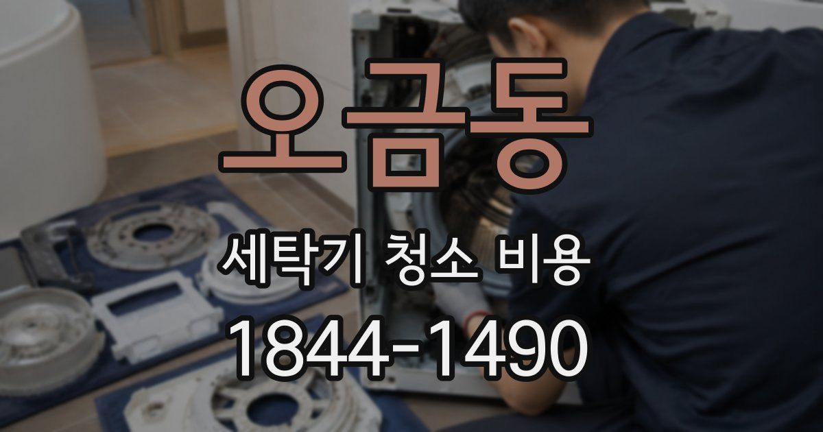오금동 세탁기 청소 비용
