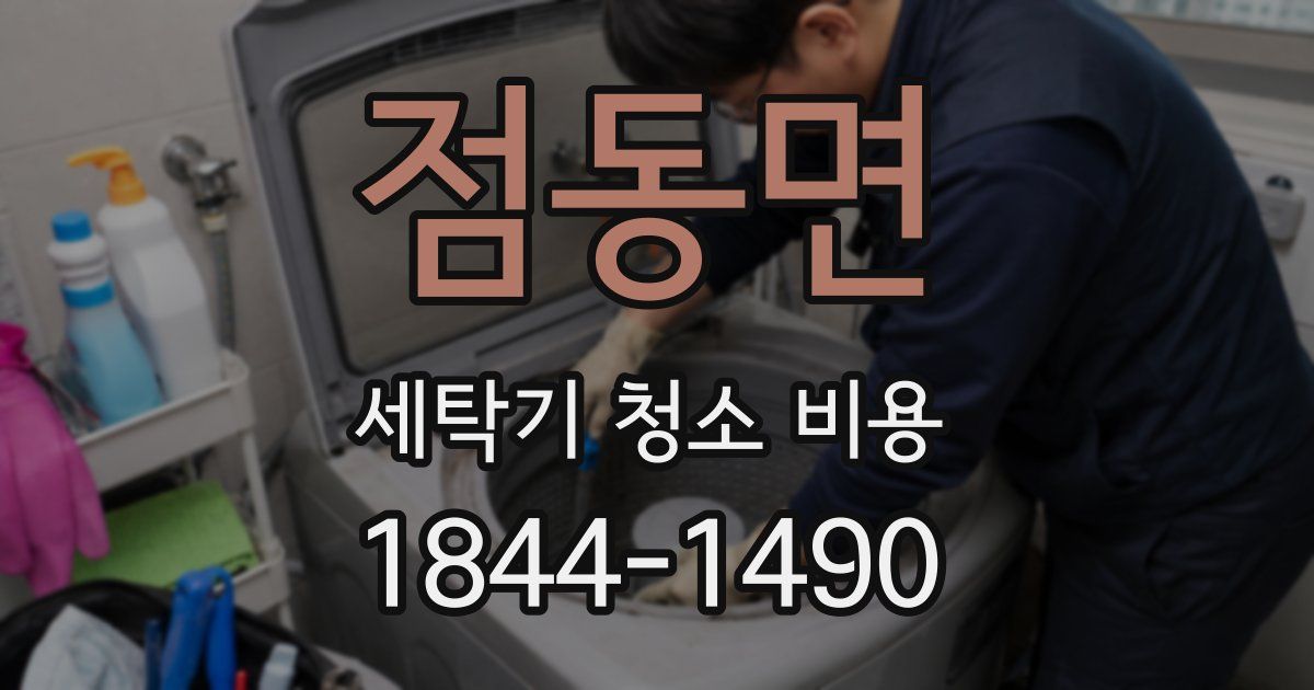 점동면 세탁기 청소 비용