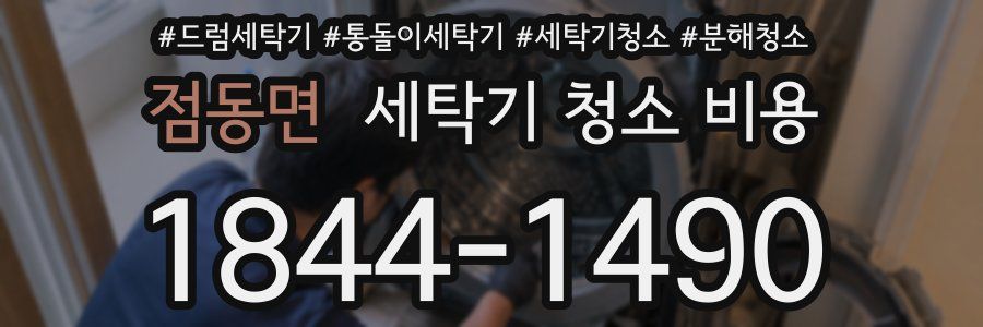 점동면 세탁기 청소 비용