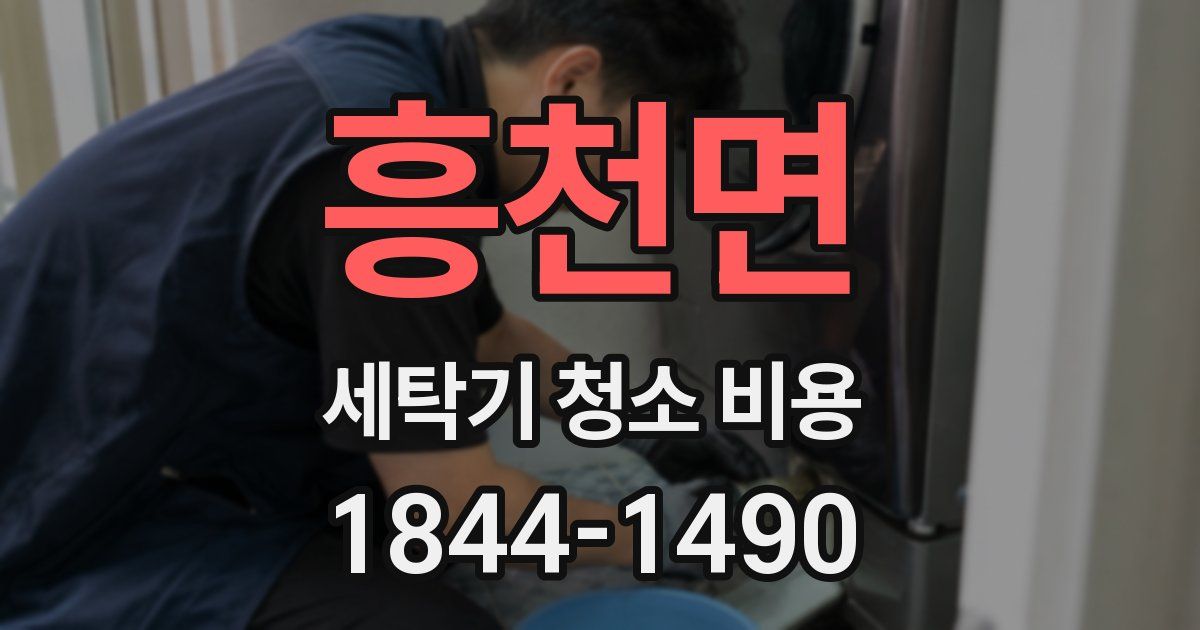 흥천면 세탁기 청소 비용