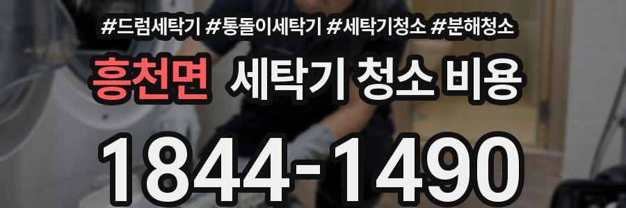 흥천면 세탁기 청소 비용