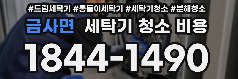 금사면 세탁기 청소 비용