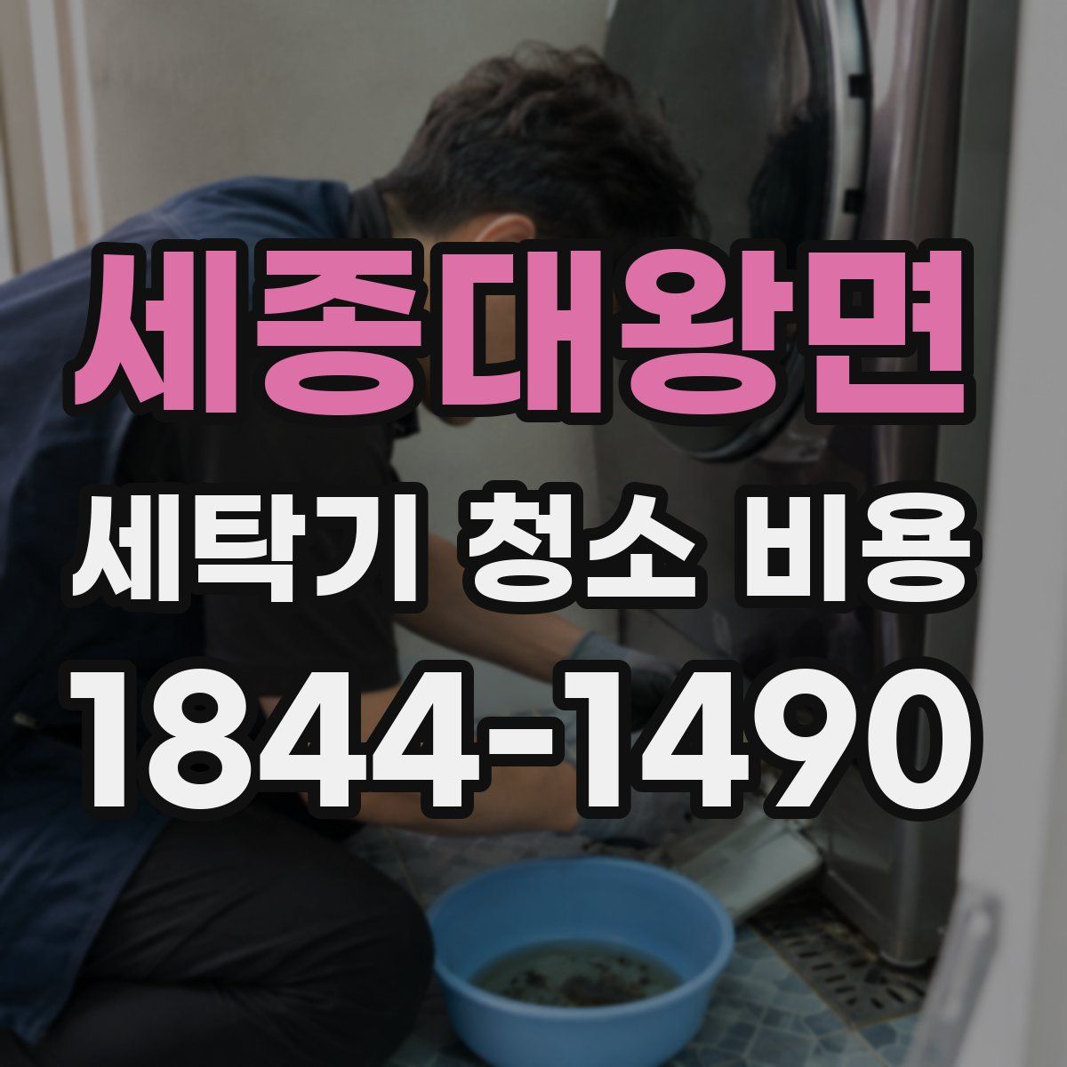세종대왕면 세탁기 청소 비용