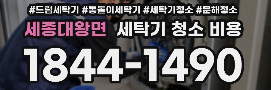 세종대왕면 세탁기 청소 비용
