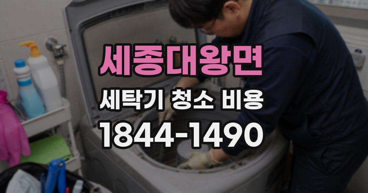 세종대왕면 세탁기 청소 비용