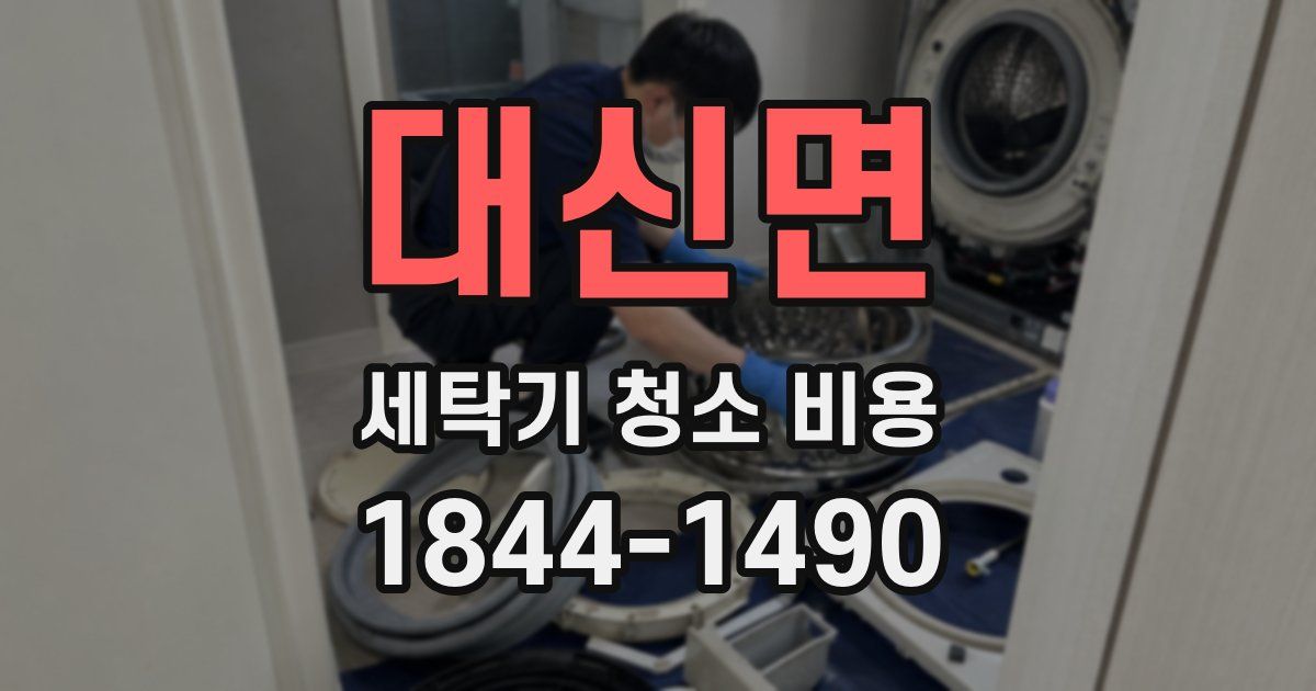 대신면 세탁기 청소 비용