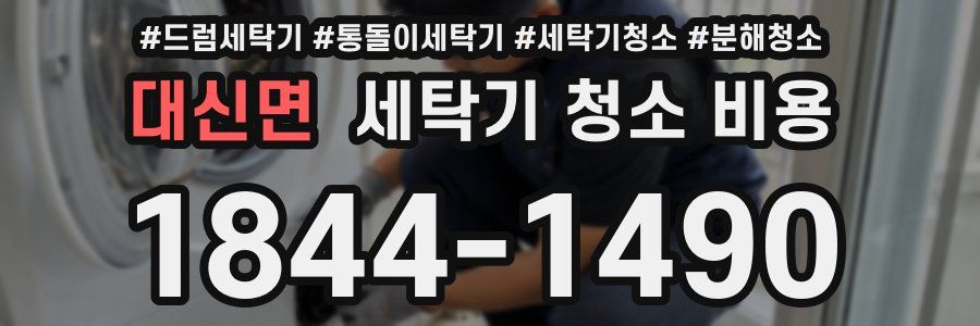 대신면 세탁기 청소 비용