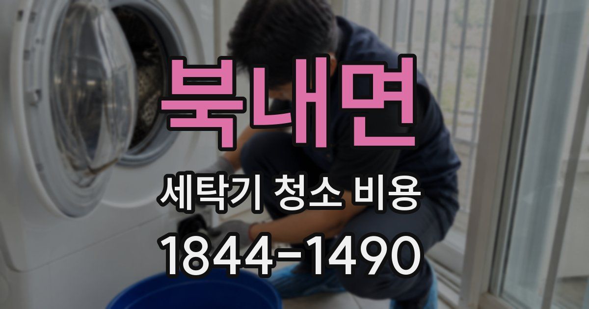 북내면 세탁기 청소 비용