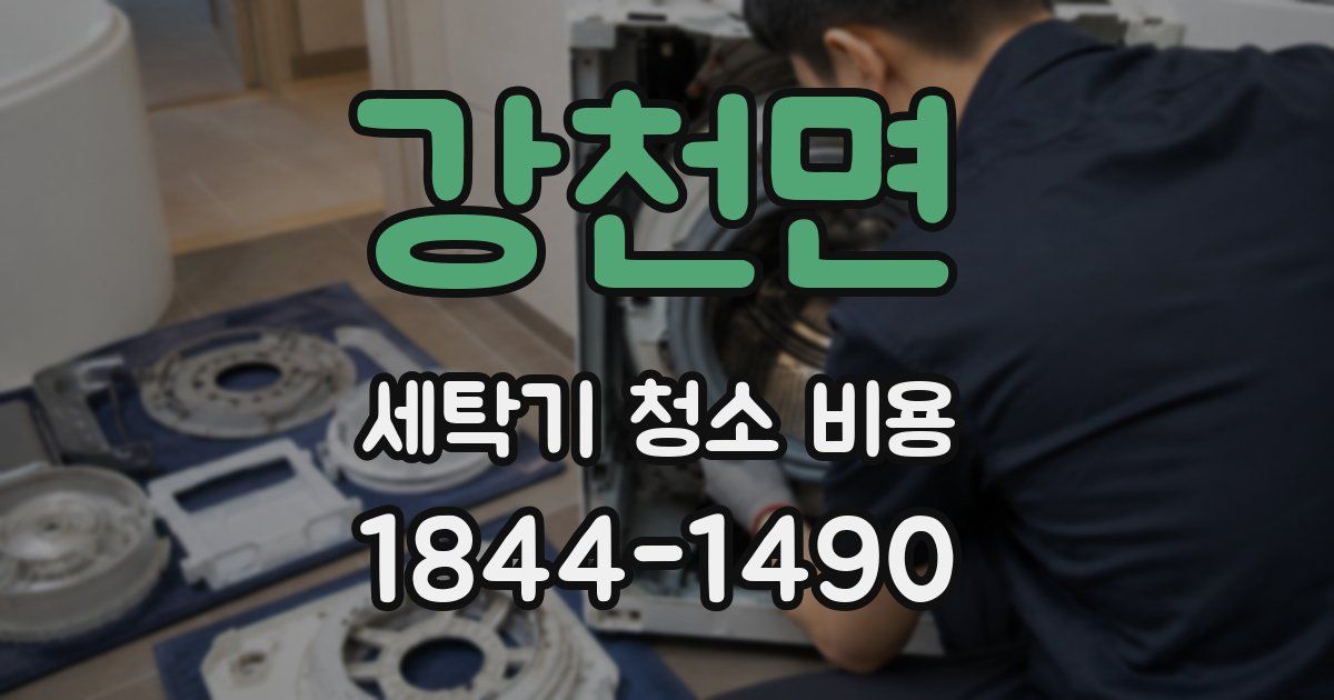 강천면 세탁기 청소 비용