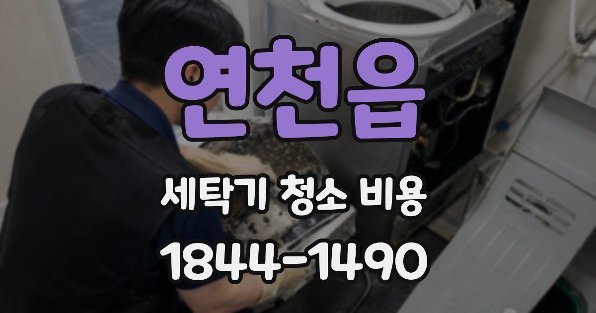 연천읍 세탁기 청소 비용