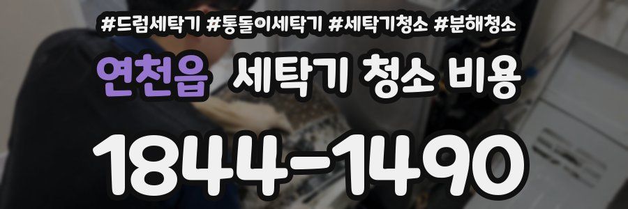 연천읍 세탁기 청소 비용