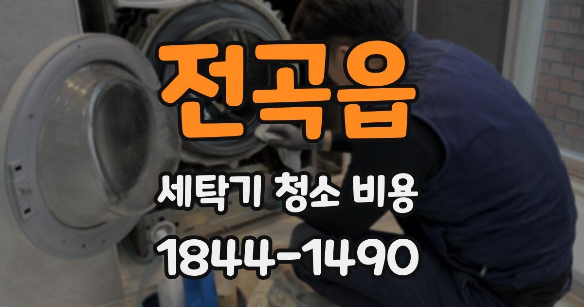 전곡읍 세탁기 청소 비용