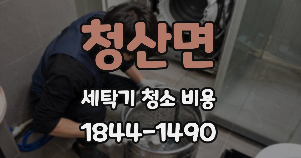 청산면 세탁기 청소 비용