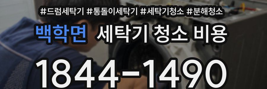 백학면 세탁기 청소 비용