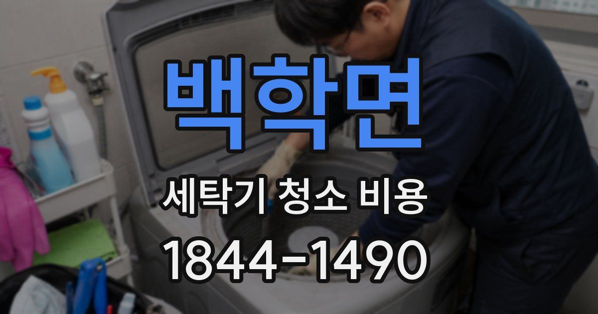 백학면 세탁기 청소 비용