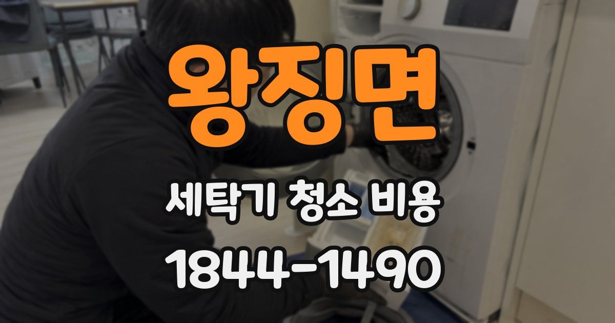 왕징면 세탁기 청소 비용