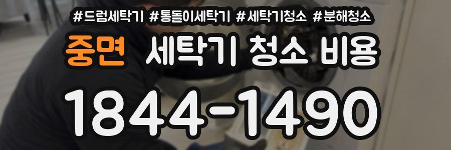 중면 세탁기 청소 비용