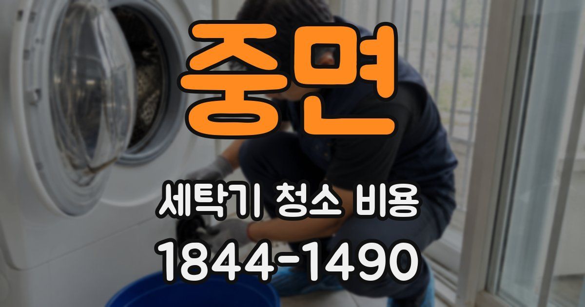 중면 세탁기 청소 비용