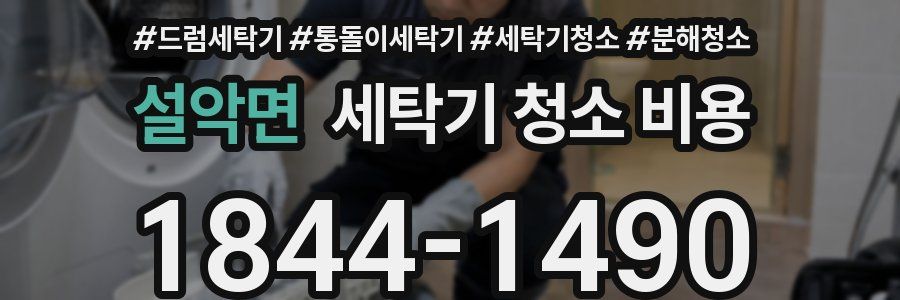 설악면 세탁기 청소 비용