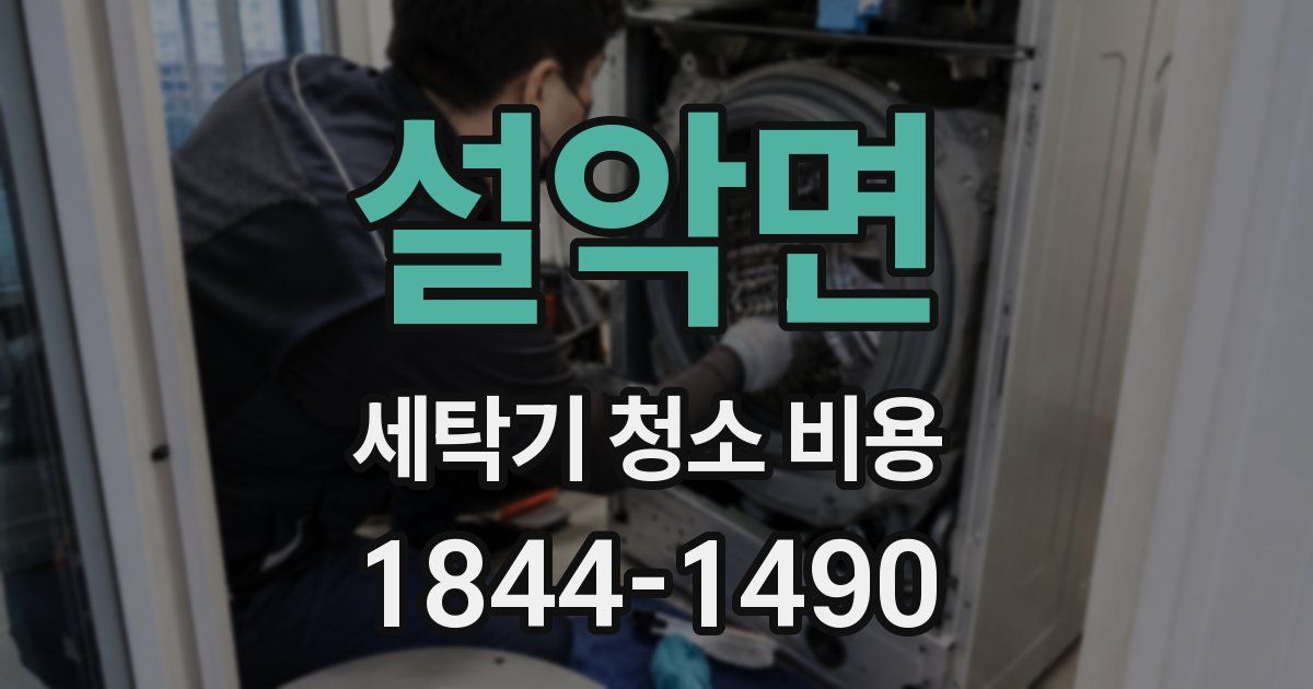 설악면 세탁기 청소 비용