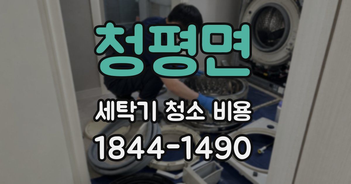 청평면 세탁기 청소 비용